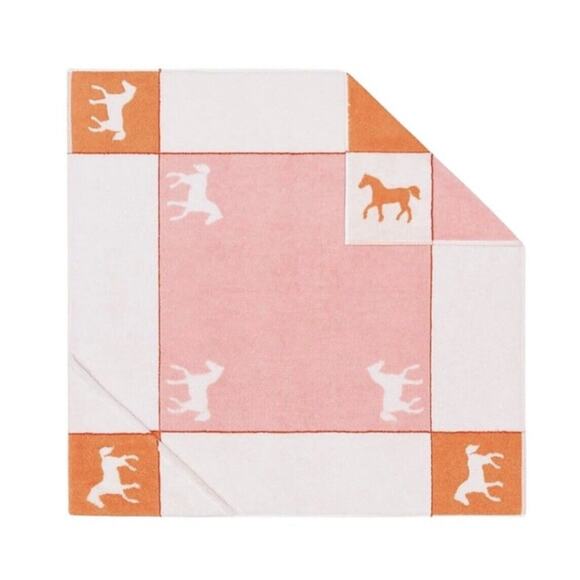 Hermes Hooded Baby Towel BRAND NEW